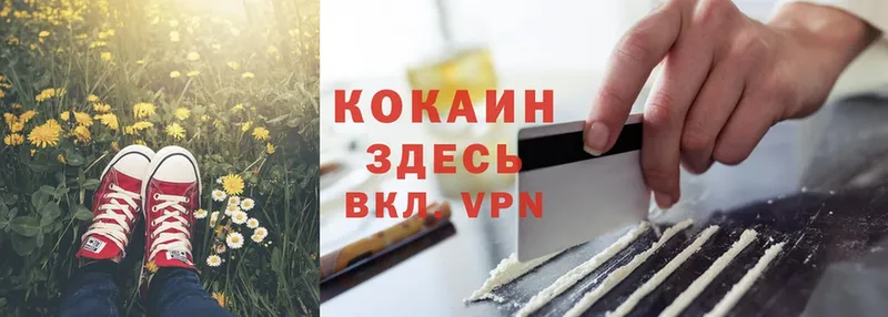 продажа наркотиков  Бутурлиновка  нарко площадка клад  Cocaine Fish Scale 